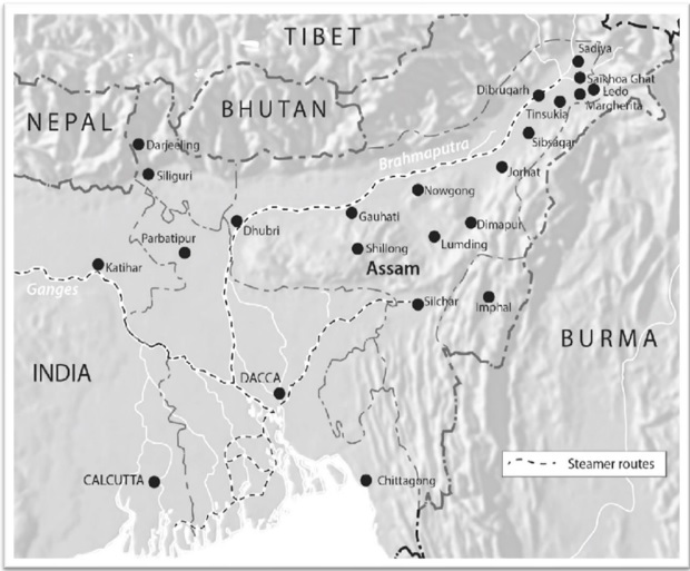 A Brief History of Tea in India